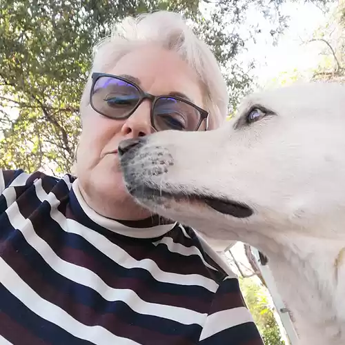 mma south africa team photo elisma 02 {{brizy_dc_image_alt imageSrc=