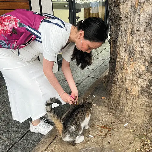 mma team photo adiya aimanova community advisor 02 {{brizy_dc_image_alt imageSrc=